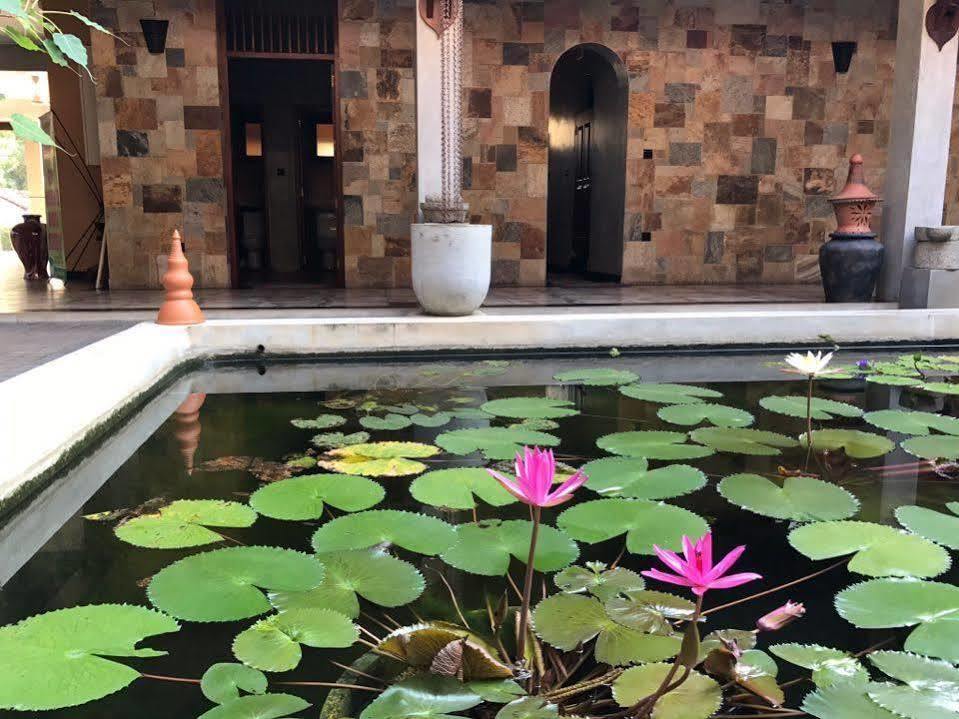 Jasmin Villa Ayurveda Resort Negombo Exterior foto